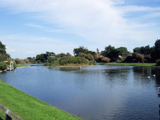 Mewsbrook Park Pedalo & Boat Hire