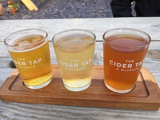 The Cider Tap