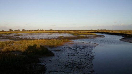 Pagham Harbour Local Nature Reserve