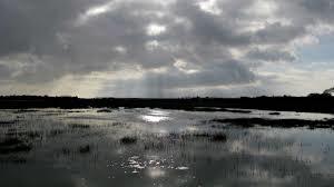 RSPB Pagham Harbour LNR